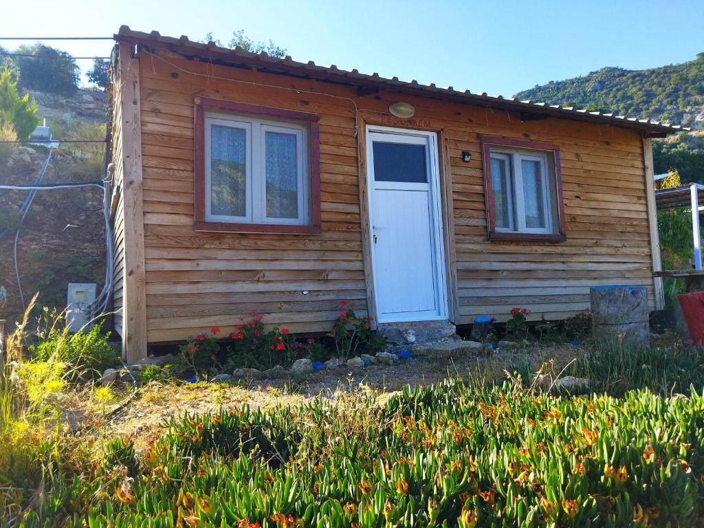 Cabaña de madera pequeña con puerta blanca en Pavlonya Bungalows, en Muğla