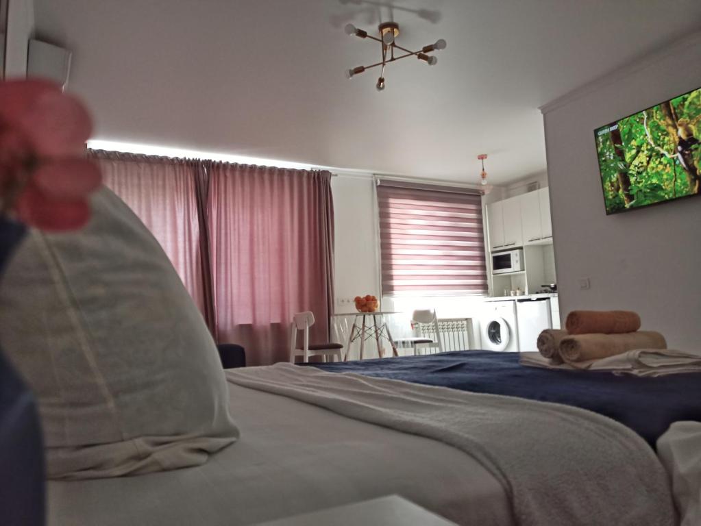 una camera con letto e TV a parete di Shugyla 1 Room a Kooperator