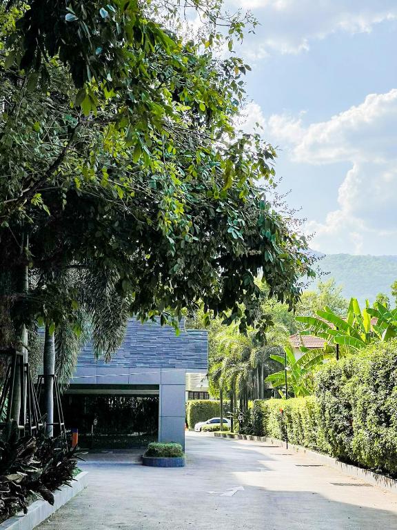 Fotografie z fotogalerie ubytování The Star Hill Condo Luxury Suites v destinaci Chiang Mai