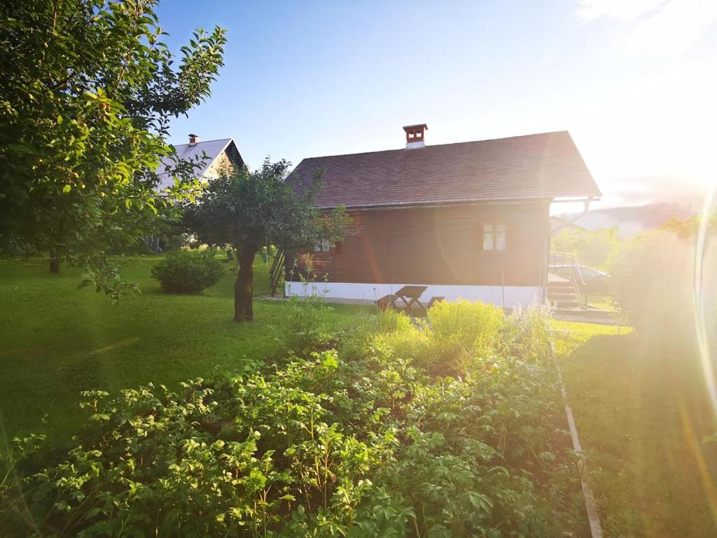 a house with a dog sitting in front of it at Hiška pr Bohinjski mami in Bohinj