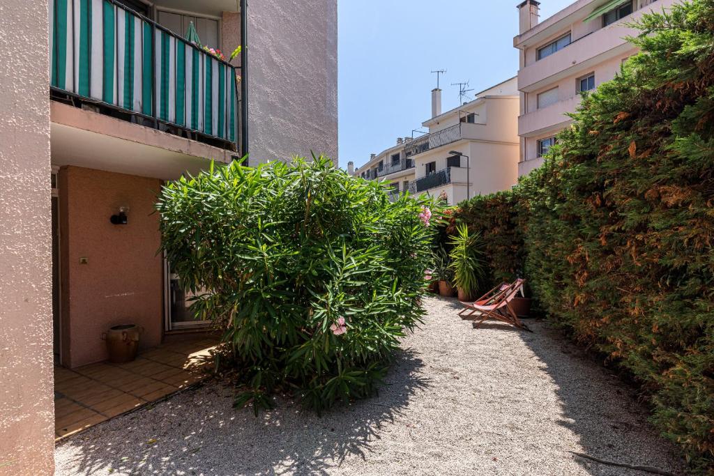 a bush in front of a building next to a building at Appartement familial avec jardin ensoleillé dans la cité des Potiers in Vallauris