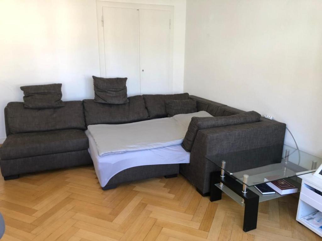 a living room with a couch and a table at Ein Zimmer in einer 2-Zimmer-Wohnung im Zentrum in Zürich