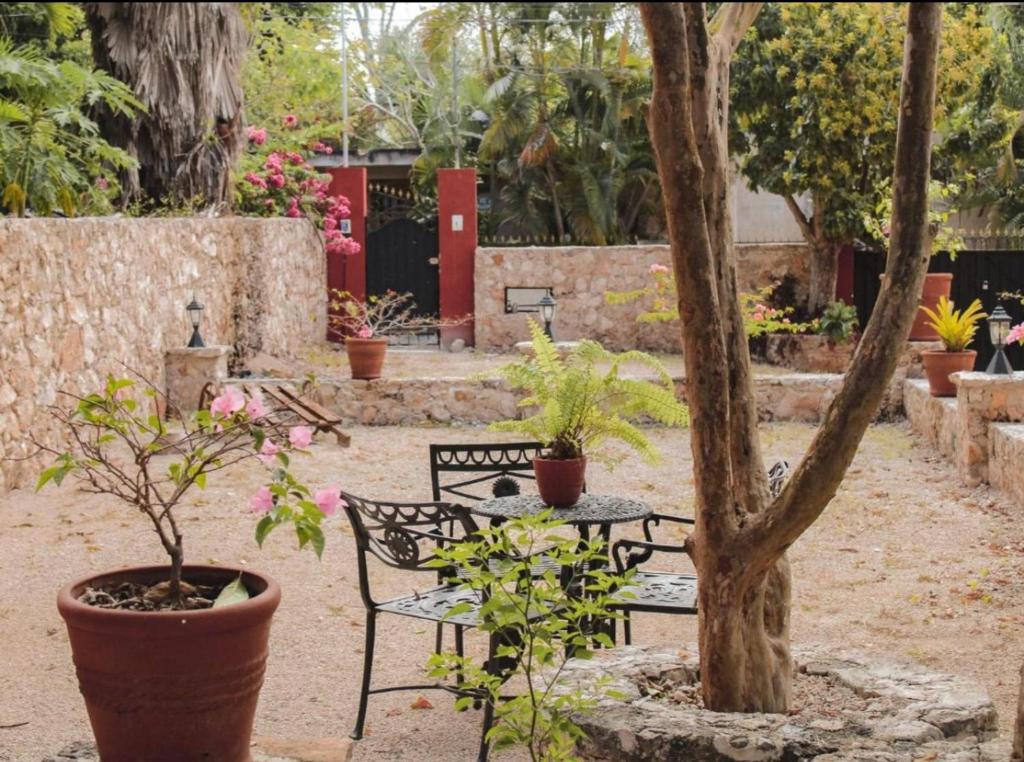 Zahrada ubytování Casa Vicenta Izamal