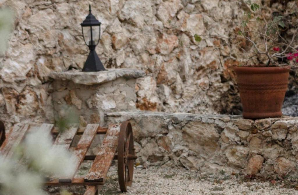 Zahrada ubytování Casa Vicenta Izamal