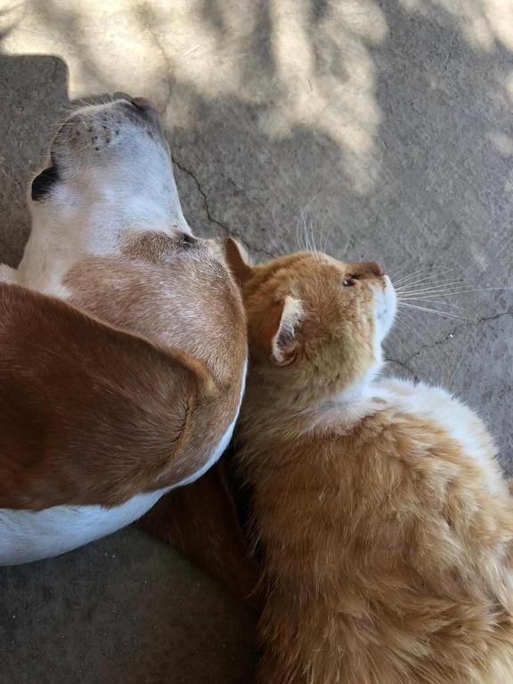 Gabi Rooms & Studio Apartment - 16