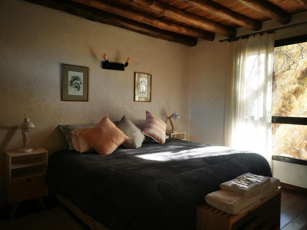 a bedroom with a bed with pillows and a window at Complejo Nogales in Tunuyán