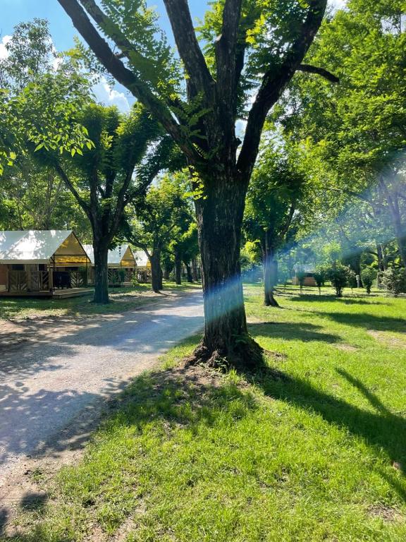 Zahrada ubytování Camping Beaussement Samouraï