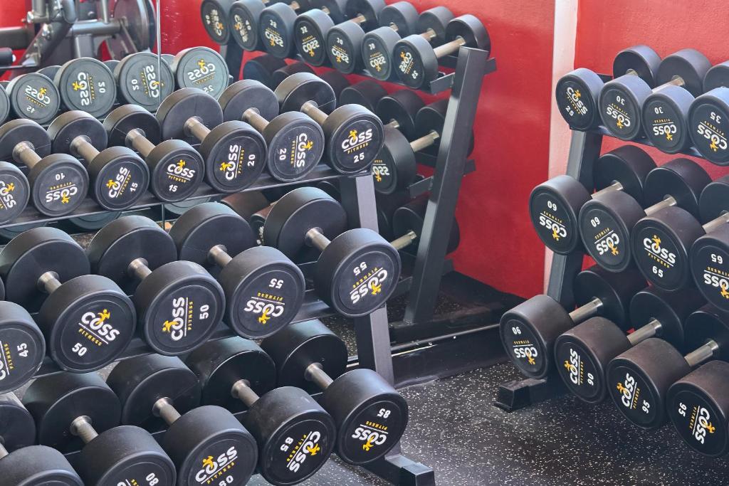 Fitness centrum a/nebo fitness zařízení v ubytování Central Suites Tower