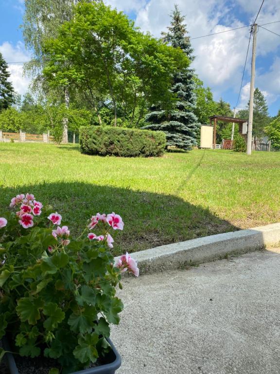 Zahrada ubytování Iskra DDUR