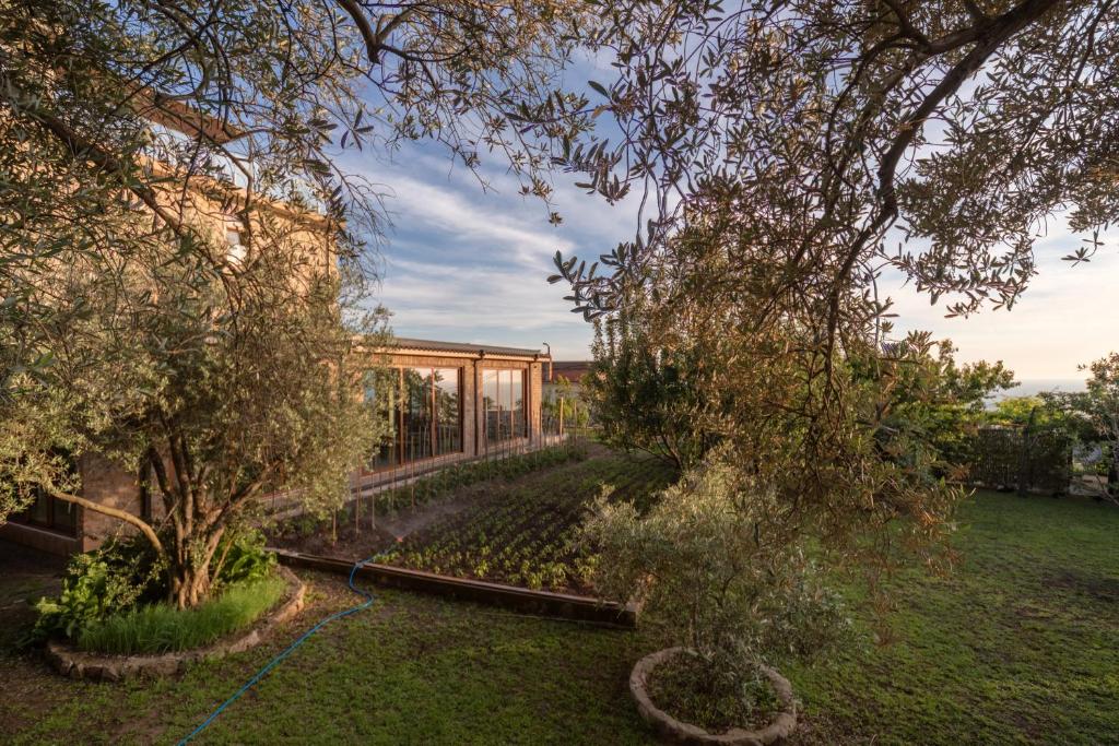 Ein Garten an der Unterkunft Apart & Spa Beganovic