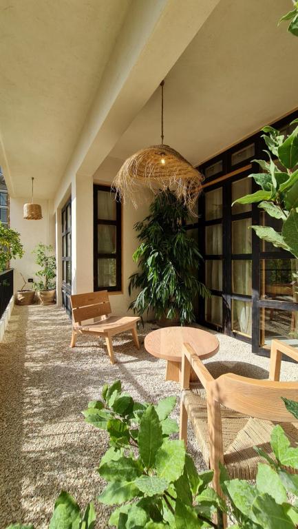 Zahrada ubytování Biophilia Luxury Lofts