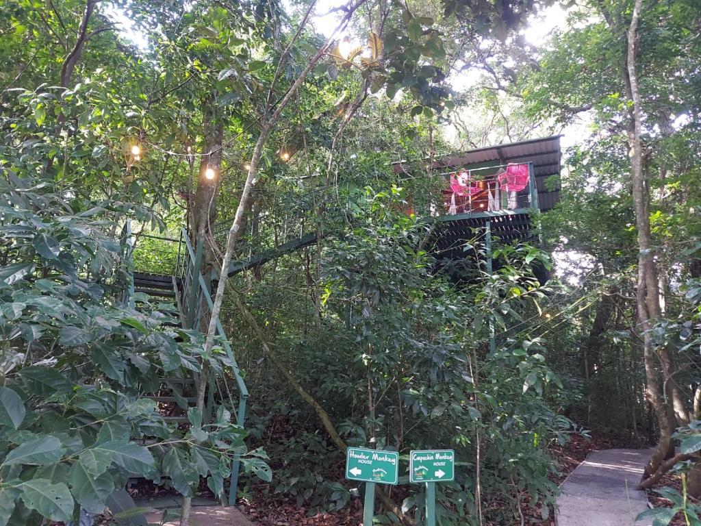 Jungle Living Tree Houses، مونتيفيردي كوستاريكا – أحدث أسعار 2024