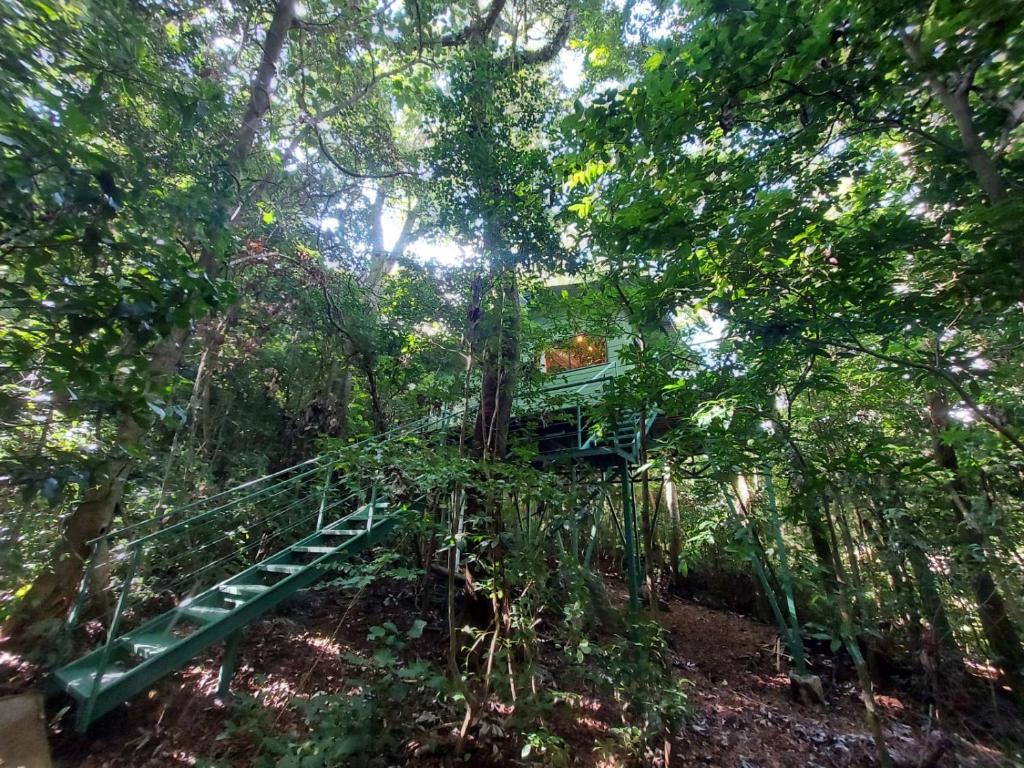 Jungle Living Tree Houses - Apartamento Con Mountain View