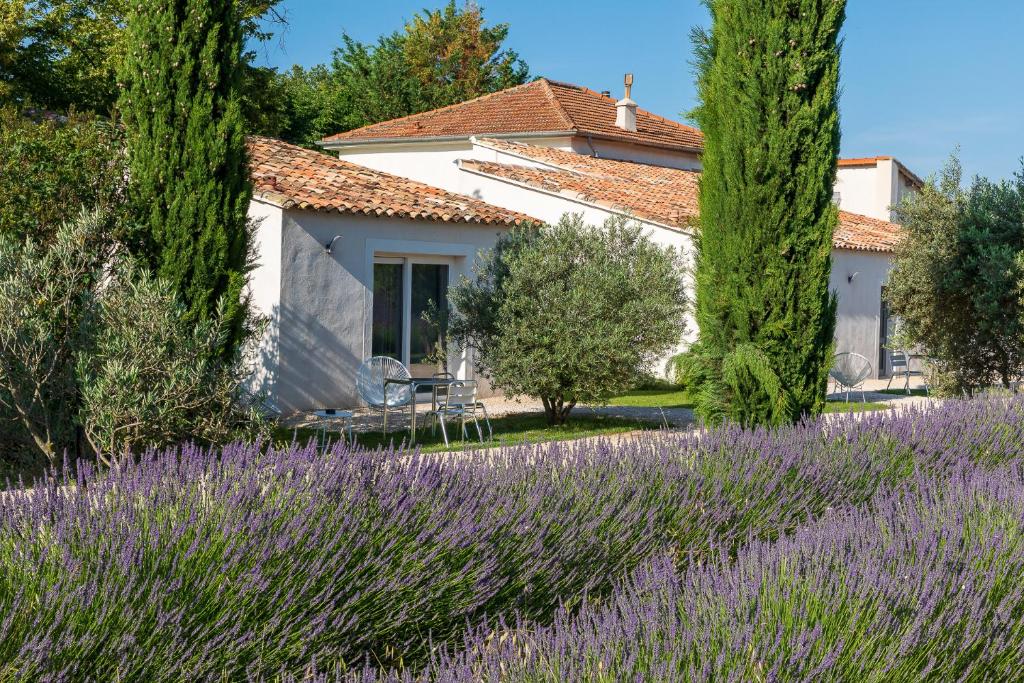 Zahrada ubytování La Bastide de Damien, 5 clefs Demeure d'Exception et Table Remarquable dans le guide Teritoria, JACUZZI Privatif, Cuisine étoilée Dominique Frérard
