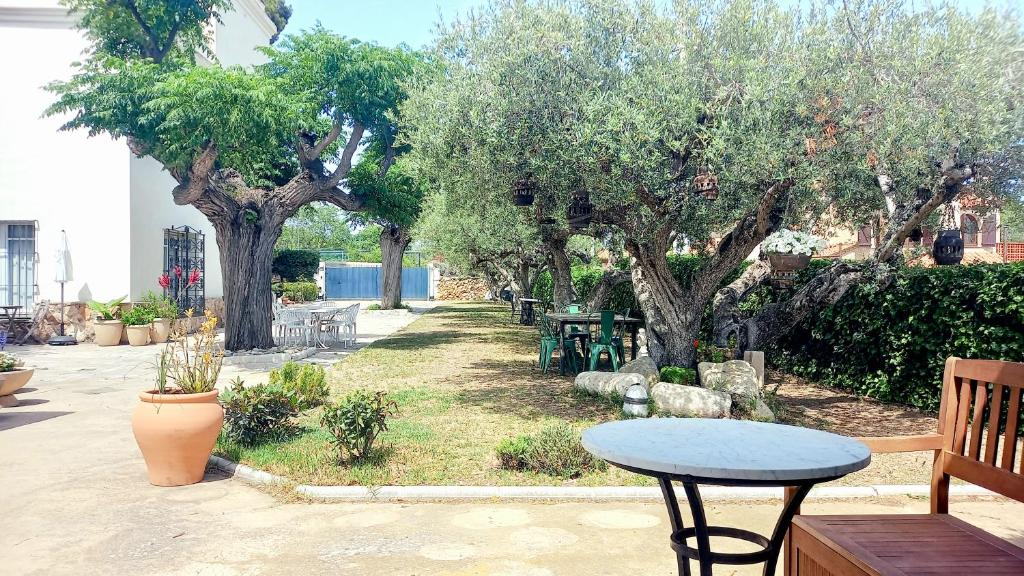 A garden outside Apartments in Villa Isabel