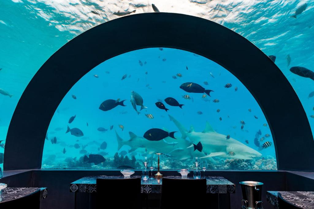 You & Me Maldives - Adults Only - Premium All-Inclusive - View 46