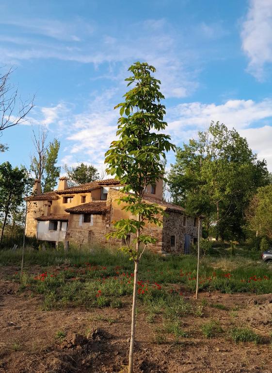 Molino Del Río, Torre la Cárcel – Updated 2023 Prices