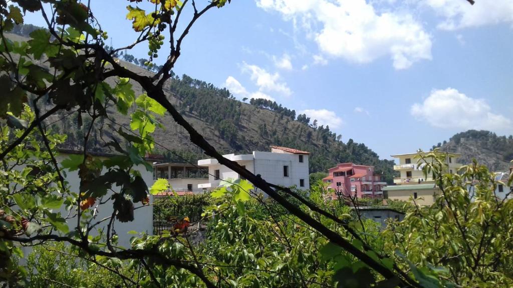 Guesthouse Relax - Imazhi 4