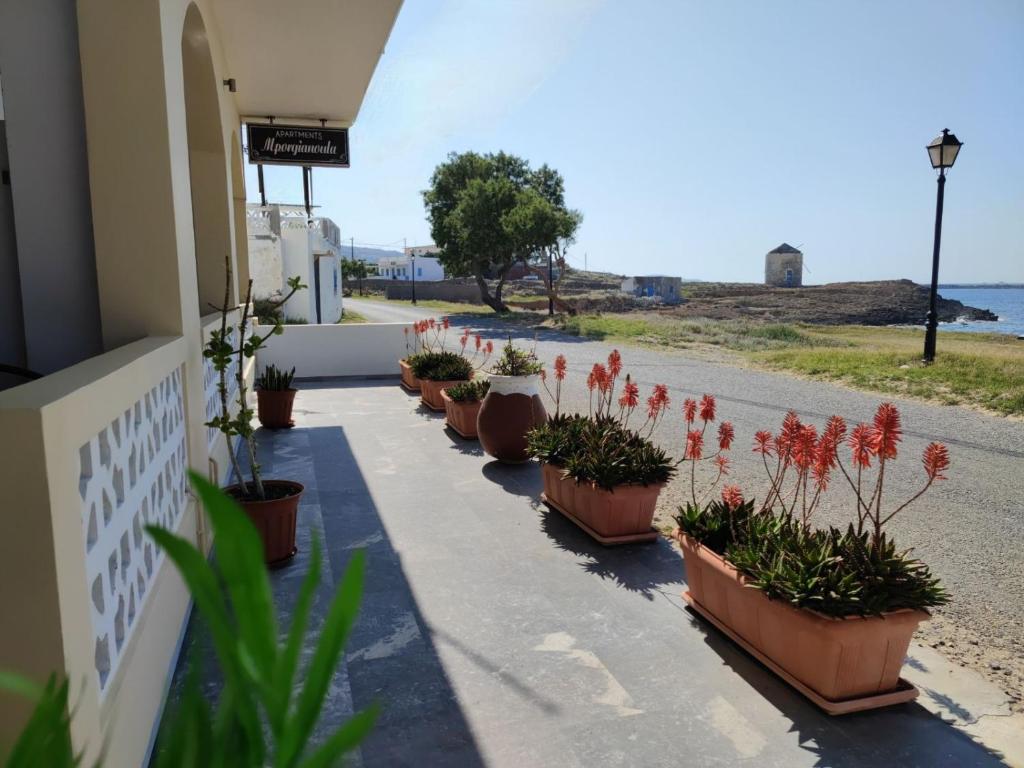Borianoula Apartments في فراي: صف من النباتات الفخارية على جانب المبنى