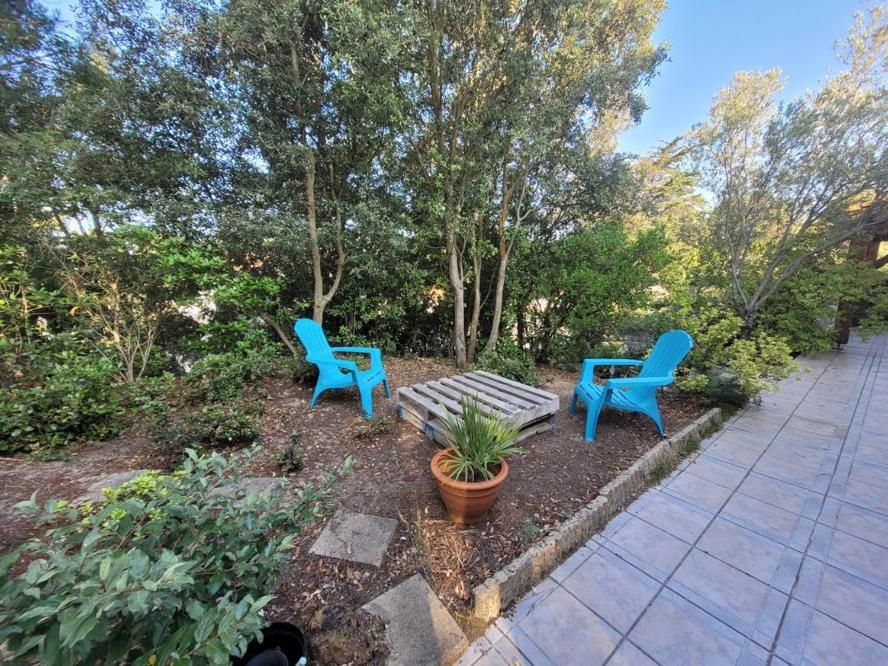 deux chaises bleues et un banc dans un jardin dans l'établissement Grande Terrasse 800m Plage Demoiselles, à Saint-Jean-de-Monts