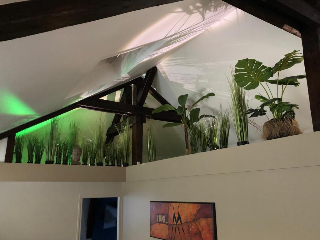 Escale à Fécamp 4 étoiles - garage privé - Huis Met 1 Slaapkamer