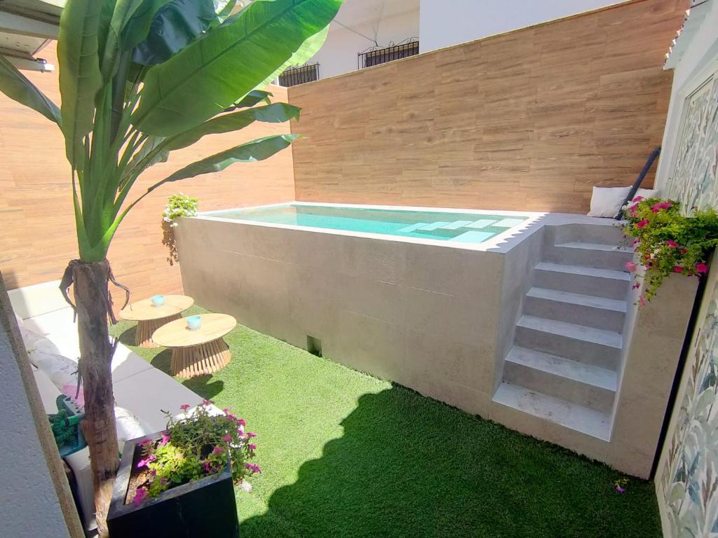 un pequeño patio trasero con una piscina profunda y una palmera en bellazaira, en Ruidera