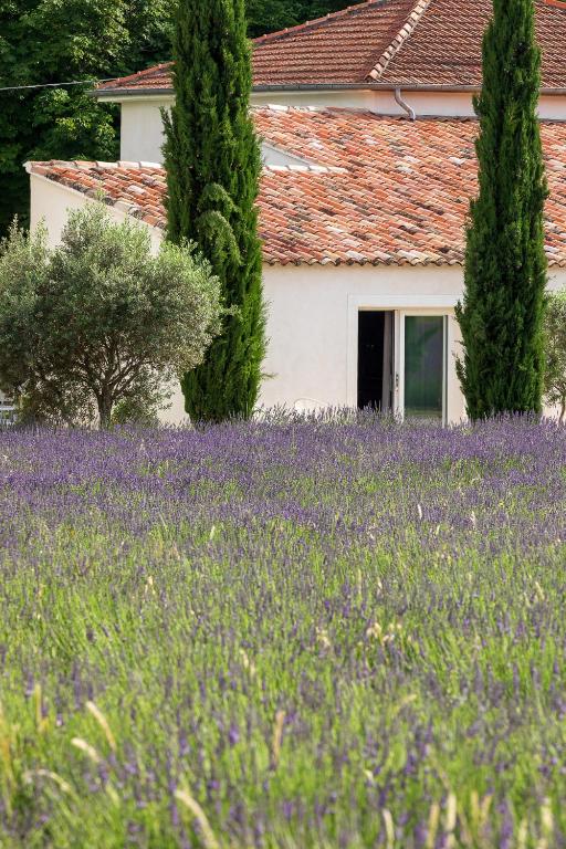 La Bastide de Damien, 5 clefs Demeure d'Exception et Table Remarquable dans le guide Teritoria, JACUZZI Privatif, Cuisine étoilée Dominique Frérard - 6