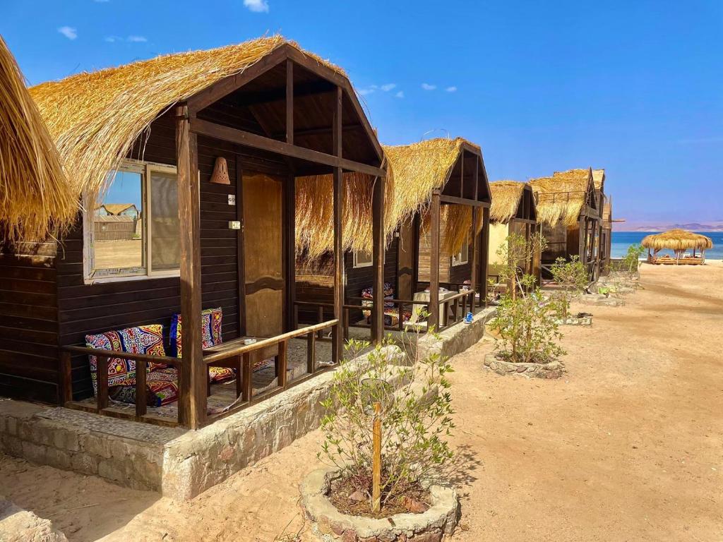 a group of huts with the ocean in the background at Al Khalil Beach Camp in Nuweiba