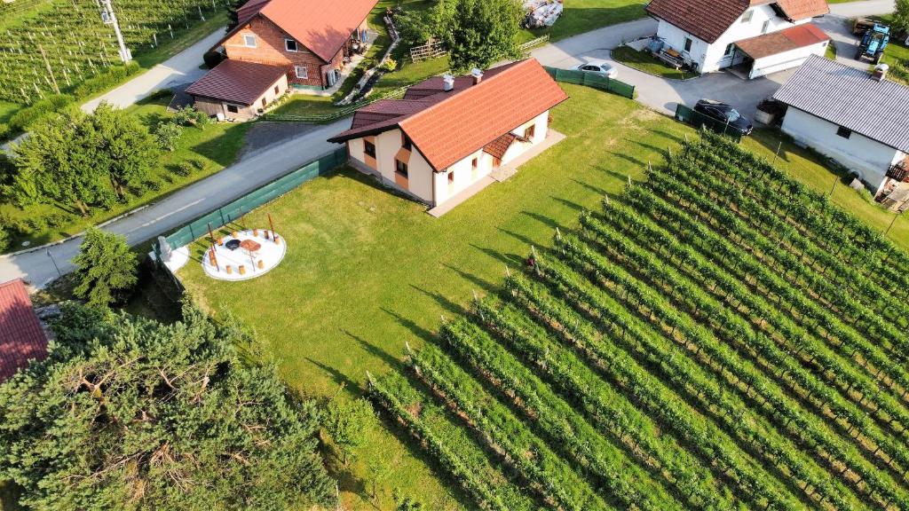 una vista aérea de una casa y un viñedo en Guesthouse and Wellness VINEA, en Spodnji Ivanjci