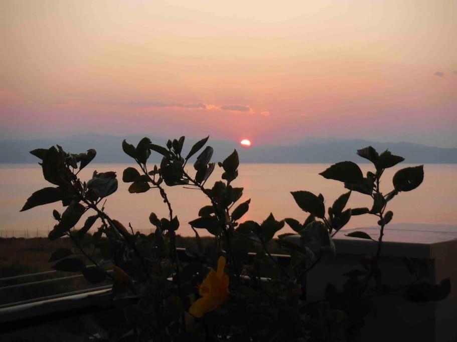 una pianta con un tramonto sullo sfondo di Maria’s Sunset House a Megalochori (Isola di Agistri)