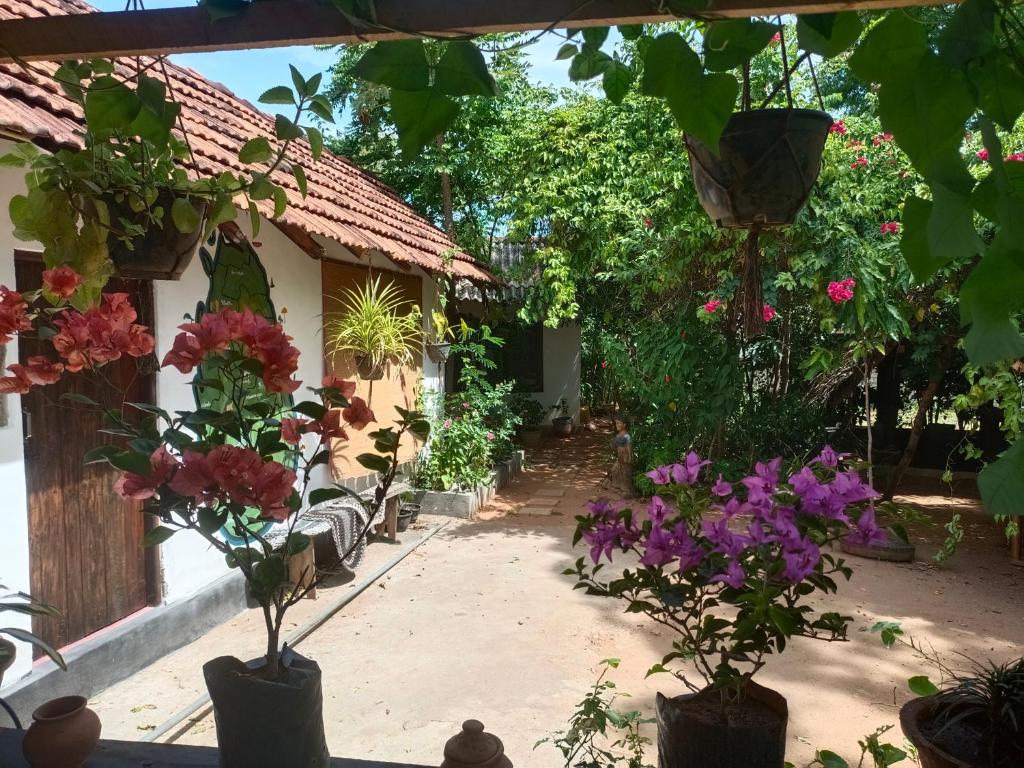 Zahrada ubytování Mamisa Café, Home stay