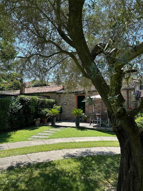 a tree in the yard of a house at La Casina apartament in Ferrara