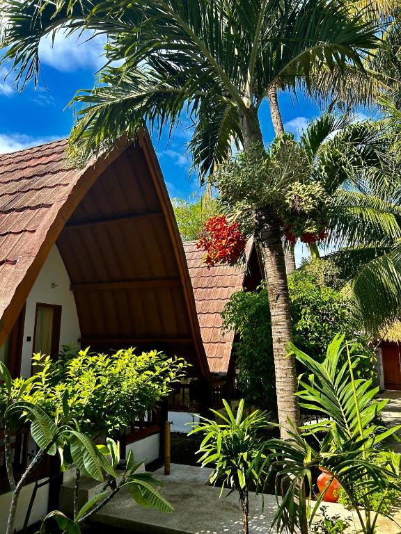 Zahrada ubytování Gili Land