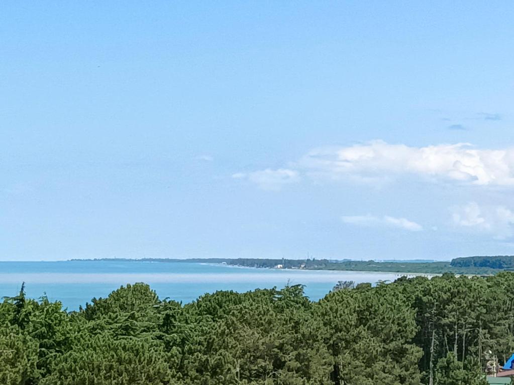 Příroda nedaleko apartmánu