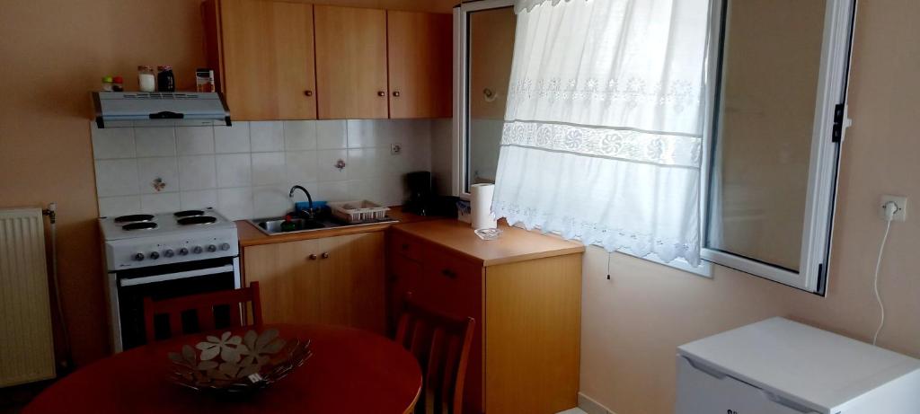 Kuchyň nebo kuchyňský kout v ubytování SPIROS HOME