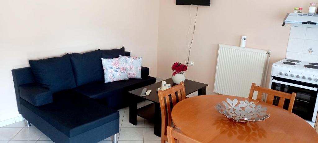 Kuchyň nebo kuchyňský kout v ubytování SPIROS HOME