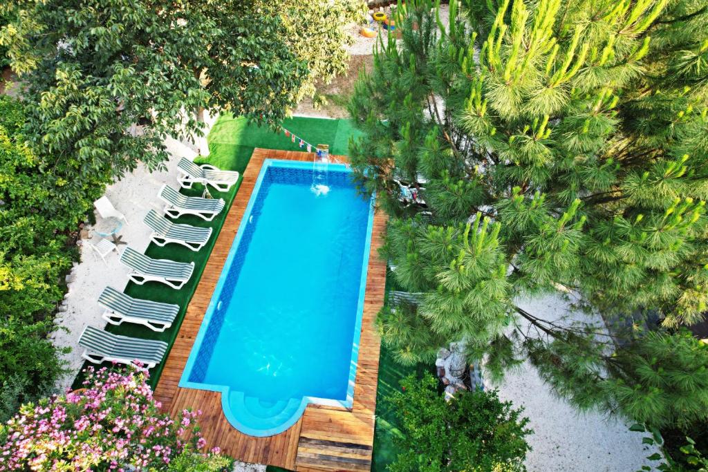uma vista sobre uma piscina com cadeiras e árvores em Gaia Hotel Olimpos em Kumluca