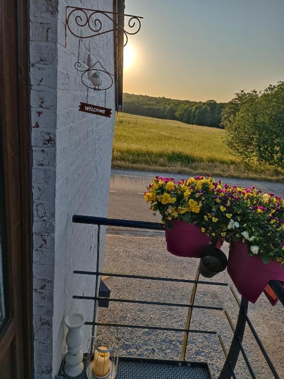Východ nebo západ slunce při pohledu z apartmánu nebo okolí