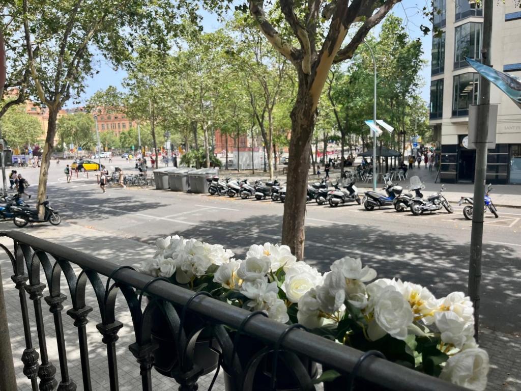 Fotografie z fotogalerie ubytování Front Arc v destinaci Barcelona