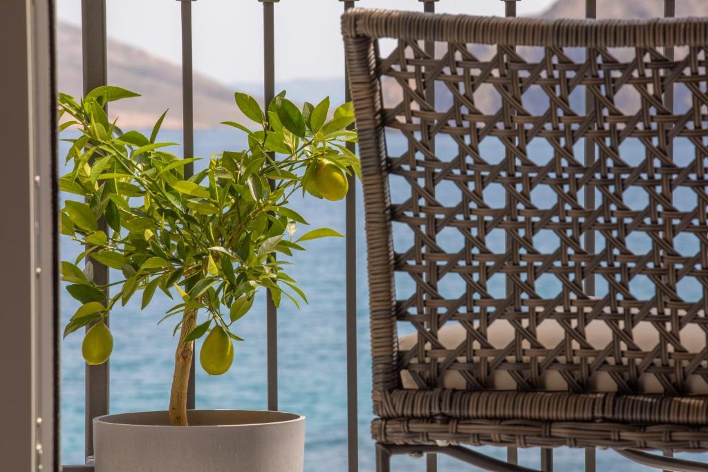 Fotografia z galérie ubytovania Seafront Baska Apartment v destinácii Baška