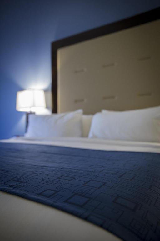 Holiday Inn Express and Suites Edwardsville by IHG - Suite De Lujo