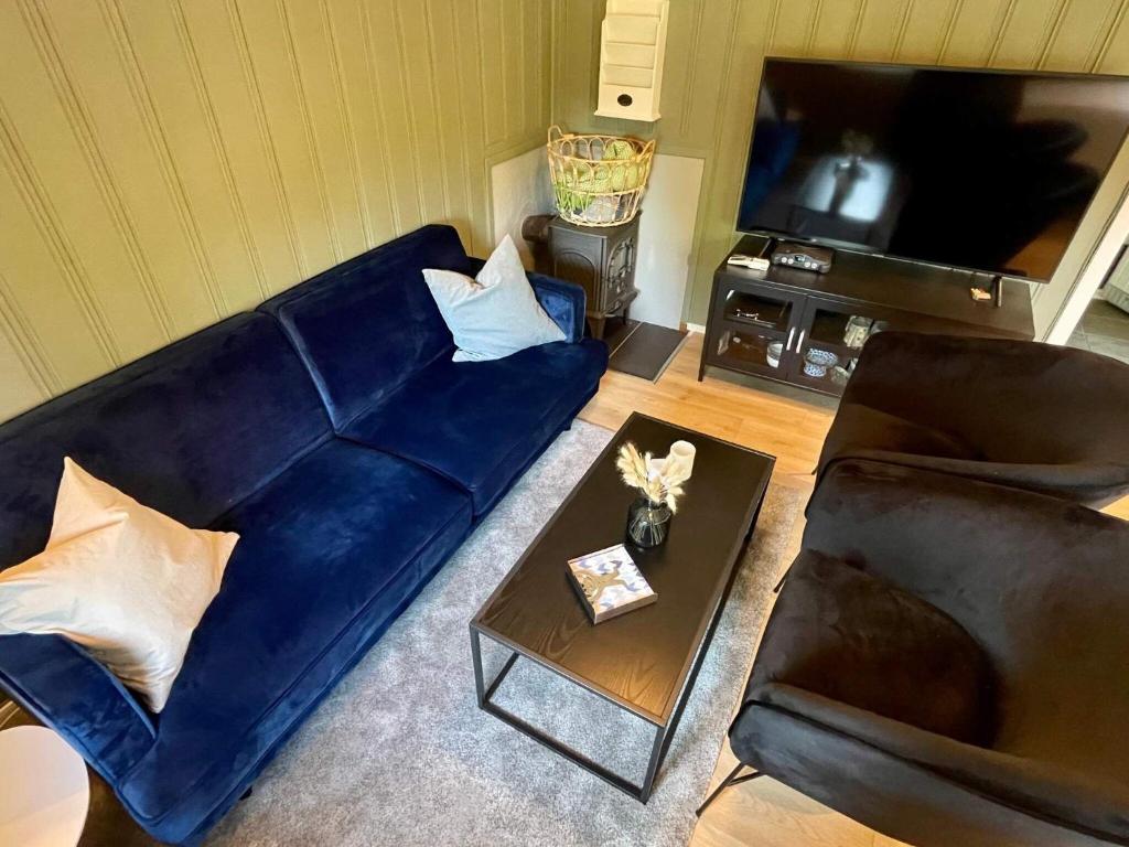 TV a/nebo společenská místnost v ubytování Holiday home OMASTRAND