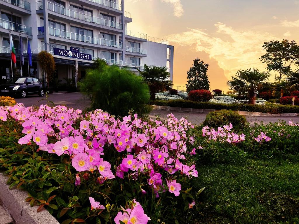 Une bande de fleurs roses devant un bâtiment dans l'établissement Moonlight Hotel - All Inclusive, à Sveti Vlas