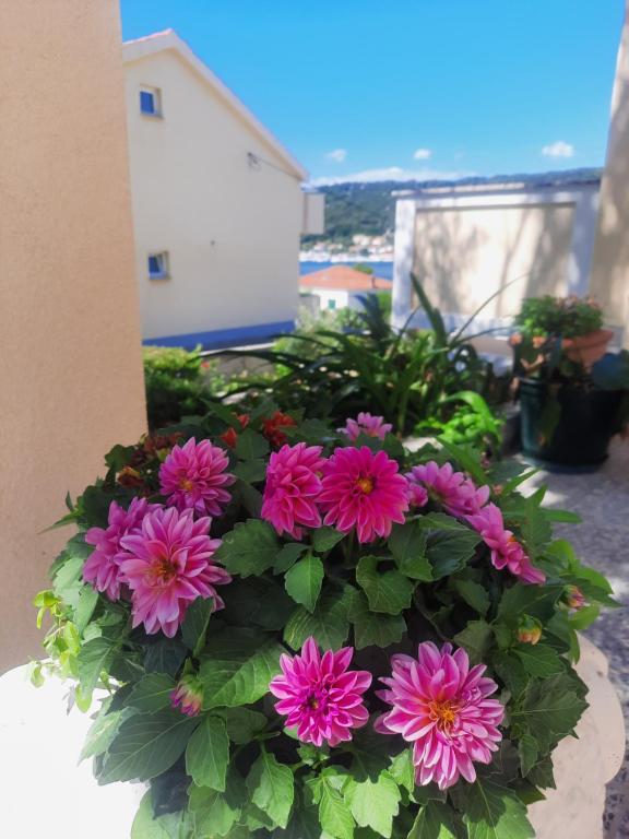 a bunch of pink flowers sitting in a pot at MaroVito in Supetarska Draga