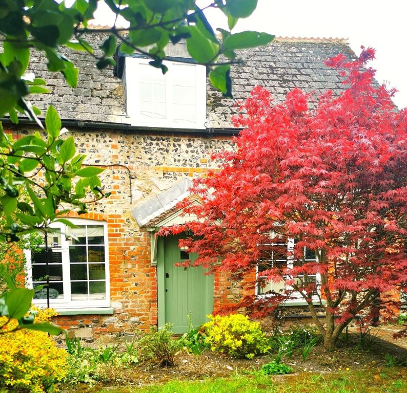 una casa de ladrillo con una puerta verde y un árbol rojo en Historic, traditional & Spacious Wiltshire Cottage, en Shrewton