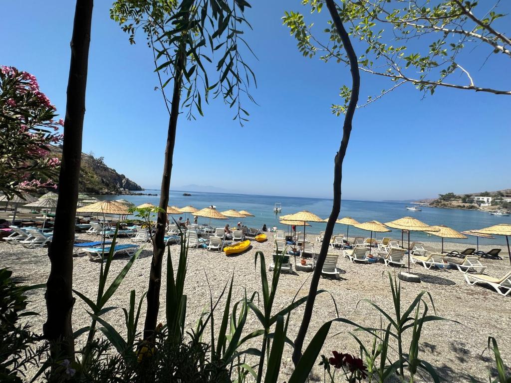 a beach with chairs and umbrellas and the ocean at Incekum Pansiyon in Bodrum City