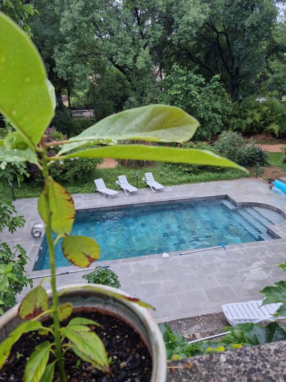 uma piscina com espreguiçadeiras e uma planta em Les chambres de l'Issole em Cabasse