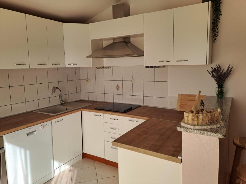 Kuchyň nebo kuchyňský kout v ubytování Apartment Ema