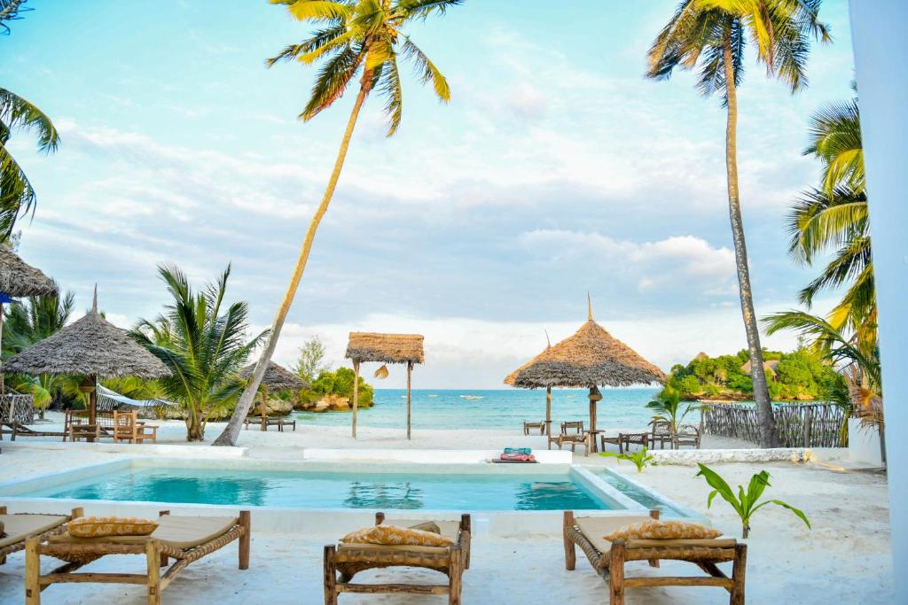 Πισίνα στο ή κοντά στο Coral Bay Zanzibar