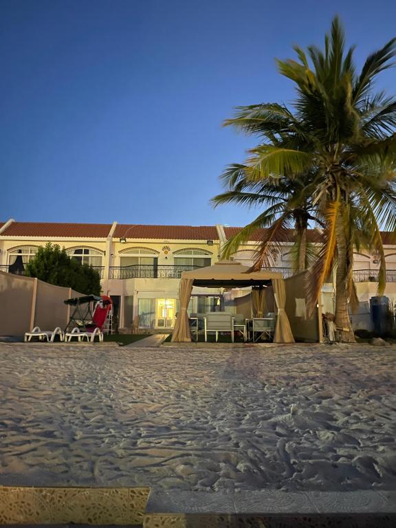 ein Gebäude am Strand mit einer Palme in der Unterkunft درة العروس فيلا البيلسان الشاطي الازرق in Durrat Al-Arus
